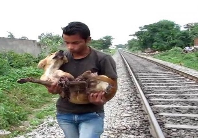 Ovaj pas je ostao bez tri noge nakon što ga je voz pregazio, ali to ga nije slomilo (VIDEO)