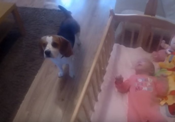 (VIDEO) Čuli su bebin plač: Kada su ušli u sobu imali su šta da vide 