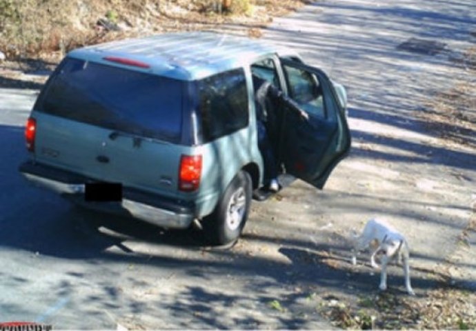  Izbacili su ga nasred ulice, ali samo 8 dana kasnije  događa se nezamislivo! (FOTO)