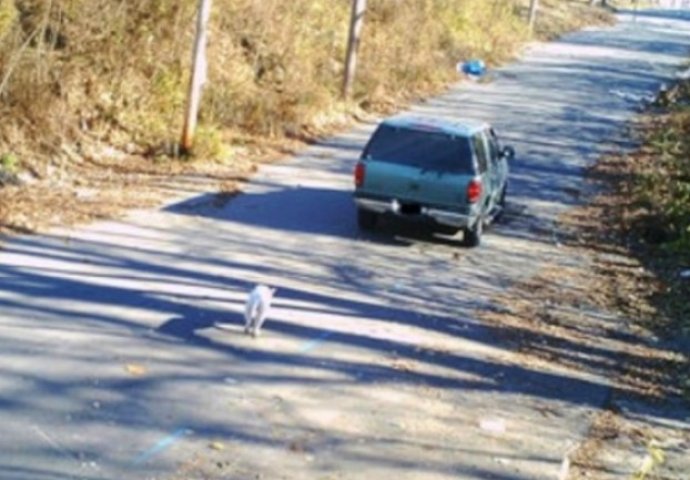  Izbacili su ga nasred ulice, ali samo 8 dana kasnije  događa se nezamislivo! (FOTO)