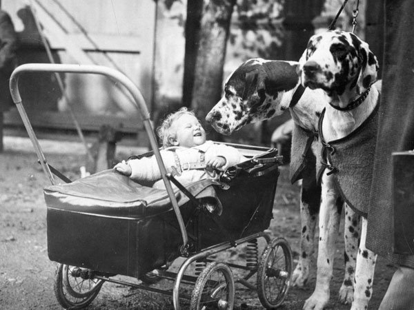 1930s-stroller-photolist