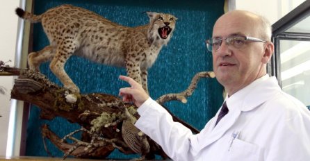 Šetnja anatomskim muzejom Veterinarskog fakulteta