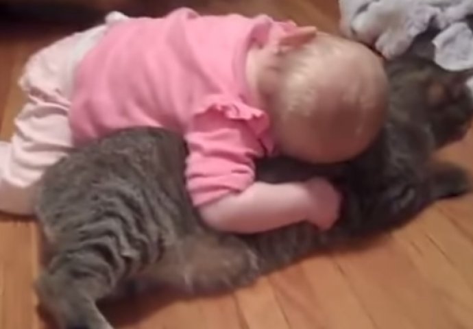 Ovo je prava ljubav: Strpljenje ove mačke će vas oduševiti (VIDEO) 