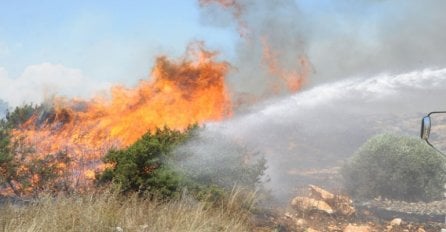 U velikom šumskom požaru na Kipru stradala dva vatrogasca