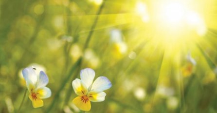 Oblačno i sparno sa temperaturama do 36 stepeni 