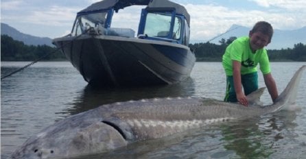 Dječak izvukao čudovište iz rijeke: Strašna riba ima 272 kilograma (VIDEO)