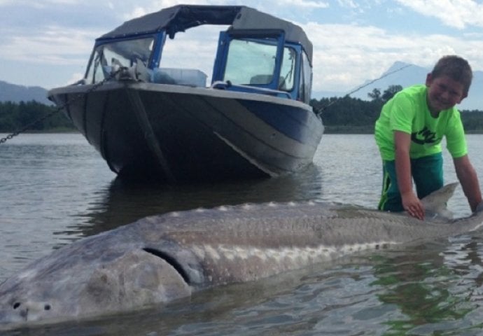 Dječak izvukao čudovište iz rijeke: Strašna riba ima 272 kilograma (VIDEO)