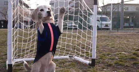 Potpuno spreman za Europsko prvenstvo: Ovaj pas će vas oduševiti (VIDEO) 