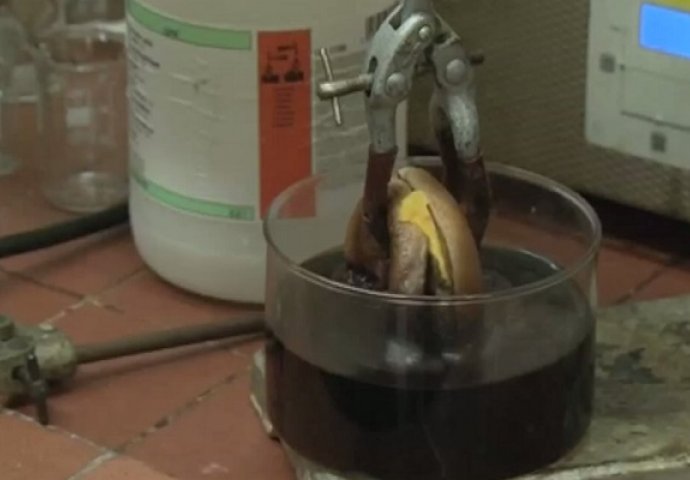 Pogledajte šta se desi kada cheeseburger ubacite u stomačnu kiselinu (VIDEO)