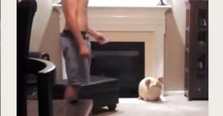 Vježbao je svoje plesne korake: Ono što je mačka uradila nasmijat će vas do suza (VIDEO) 