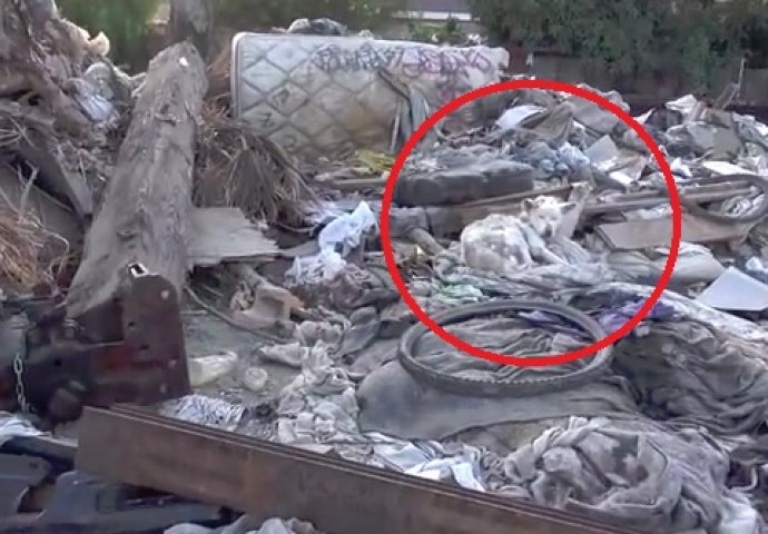 Izgledalo je kao velika hrpa smeća: Ono što su pronašli šokiralo ih je (VIDEO) 