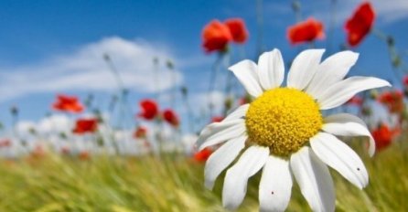 Danas u BiH temperature do 36 stepeni