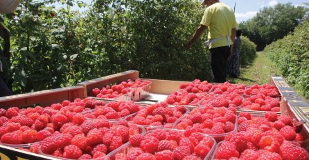Malinari odblokirali promet i čekaju na razgovor s otkupljivačima