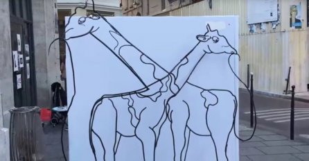 OPTIČKA ILUZIJA: Jesu li ovo dvije žirafe ili slon?