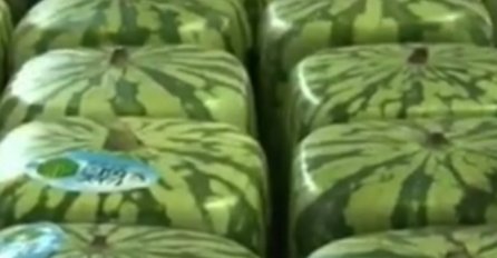 Kockaste lubenice preplavile svjetsko tržište (VIDEO)
