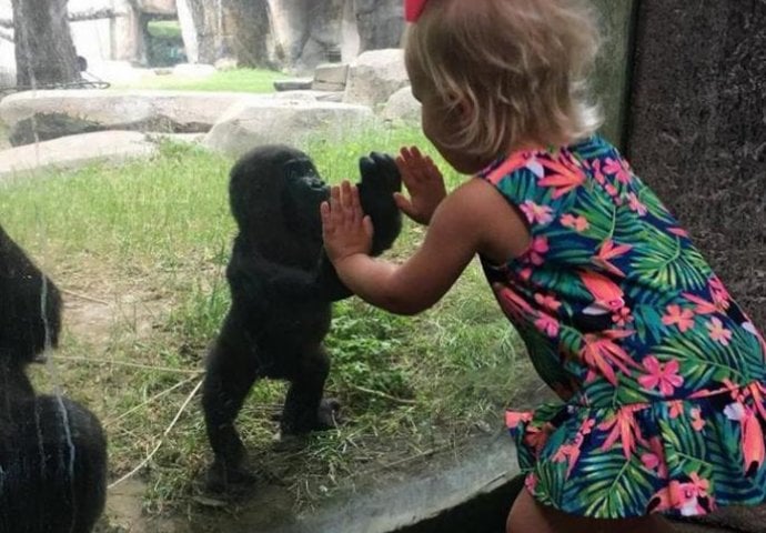 Ova fotografija oduševila je svijet, ali istina koja stoji iza nje potpuno će vas razočarati