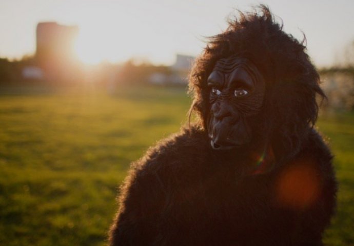 Svi apsurdi Karadžićevog hapšenja
