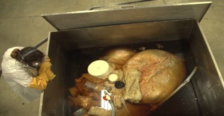 Izvukli su ovo iz dubina okeana: Kada vidite o čemu se zapravo radi, ostat ćete bez teksta(VIDEO)