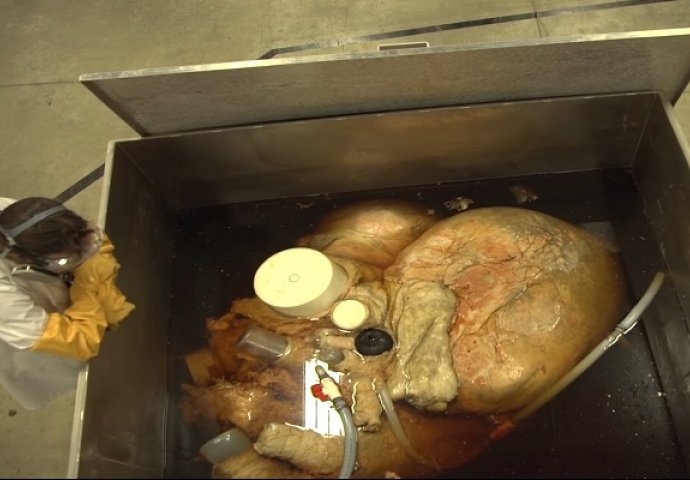 Izvukli su ovo iz dubina okeana: Kada vidite o čemu se zapravo radi, ostat ćete bez teksta(VIDEO)