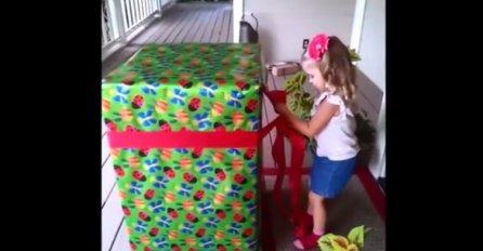 Djevojčica je dobila najbolji poklon za rođendan, a njena reakcija osvojila je internet (VIDEO) 