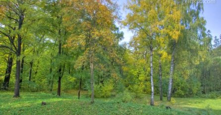 Godinu dana je fotografisao isto mjesto: Oduševit ćete se kada vidite šta je zabilježio (VIDEO) 
