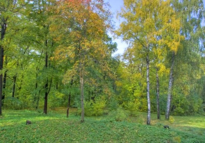 Godinu dana je fotografisao isto mjesto: Oduševit ćete se kada vidite šta je zabilježio (VIDEO) 