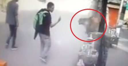 Prolazio je pokraj majmuna i pokazao mu srednji prst, ali on mu nije ostao dužan (VIDEO)