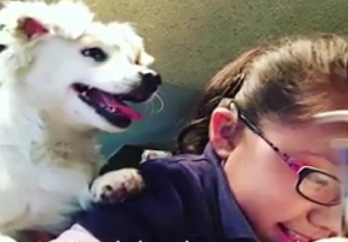 Stvoreni jedno za drugo: Gluha djevojčica naučila svog gluhog psa znakovni jezik (VIDEO)