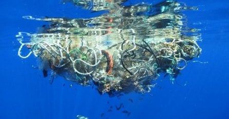 Pogledajte što plastika doista radi i životinjama i ljudima  (VIDEO)