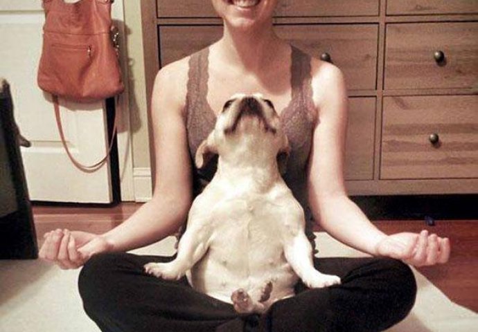 Urnebesno: Životinje koje rade jogu popravit će vam dan 