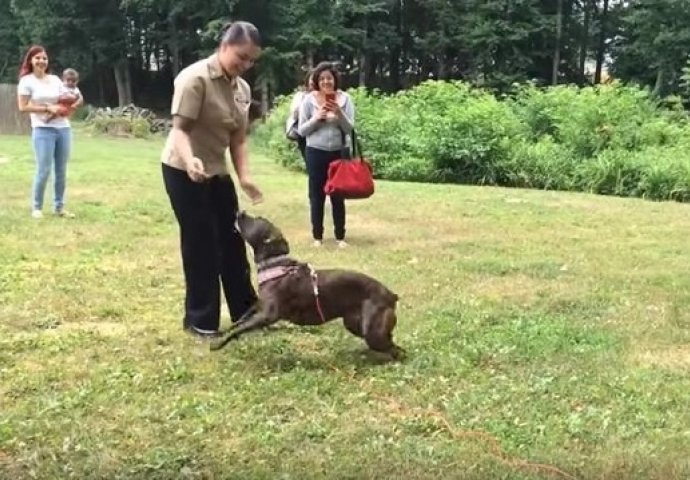Pogledajte kako je pas dočekao vlasnicu koju nije vidio godinu dana (VIDEO)