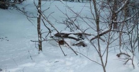 Primjetio je ovu kutiju u snijegu: Zanijemio je kada je vidio šta je unutra (FOTO) 