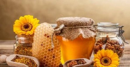 Prvi kongres o pčelarstvu i pčelinjim proizvodima okupio više od 100 učesnika