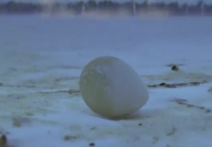 Pronašli su zaleđeno jaje na zemlji, no pogledajte šta će se dogoditi u nastavku (VIDEO)