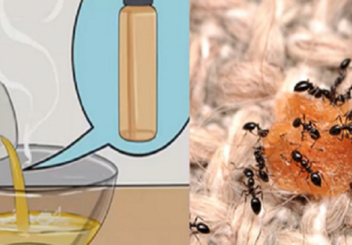Četiri prirodna proizvoda bez hemikalija koji će učiniti da mravi i ostale štetočine zaobilaze vašu kuću