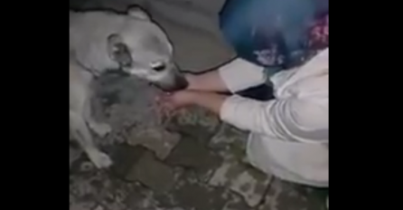 Pomogla je psu a njegovo "hvala" se jasno vidjelo (VIDEO)