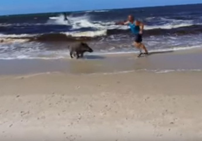 Horor na plaži: Divlji vepar iskočio iz mora i napao kupače! (VIDEO)