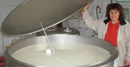 Dignuta rampa EU smanjila izvoz mlijeka!