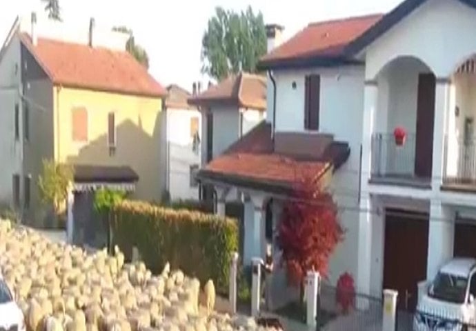 Čuli su čudne zvukove ispred njihove kuće: Kada su provirili, ostali su u šoku (VIDEO)