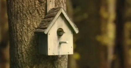 Mislili smo da je ovo obična kućica za ptice, no grdno smo se prevarili (VIDEO)