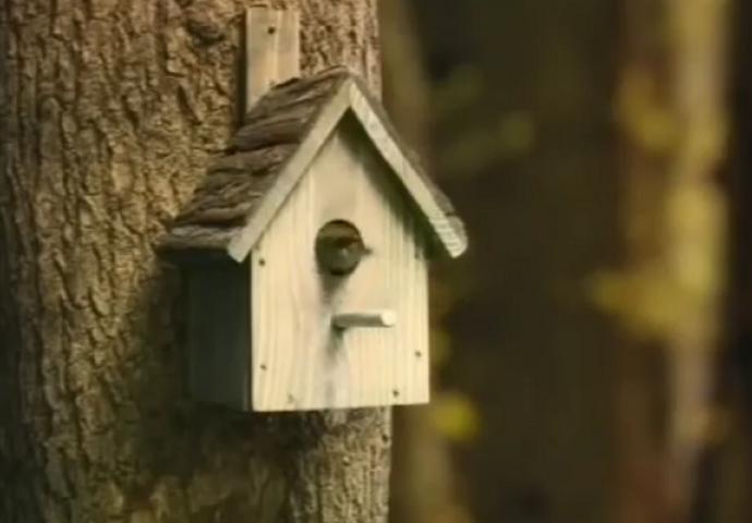 Mislili smo da je ovo obična kućica za ptice, no grdno smo se prevarili (VIDEO)