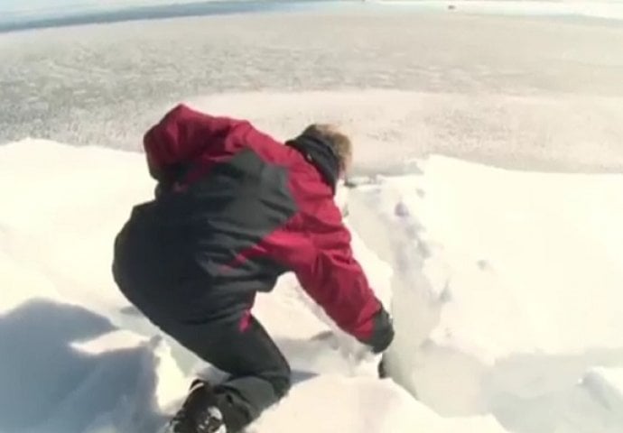 Vidjeli su nešto tamno u snijegu: Kada su pogledali bolje, uslijedili su šok i nevjerica (VIDEO)