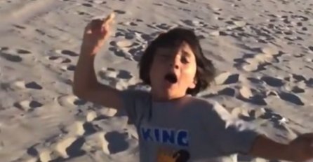 Dječak bezbjedno hranio galebove na plaži, a onda je  uslijedio HOROR! (VIDEO)