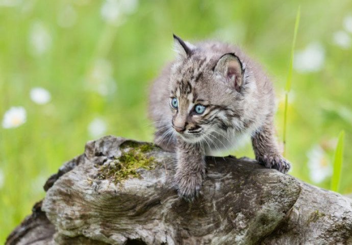 10 nevjerovatnih otkrića za koje niste znali