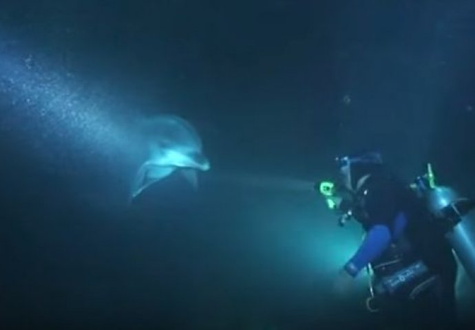Povrijeđeni delfin je prišao roniocu i zatražio pomoć, a onda se dešava nešto nevjerovatno (VIDEO) 