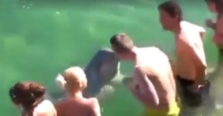 Delfin doplivao do ljudi u Neumu i počeo ih ljubiti (VIDEO)