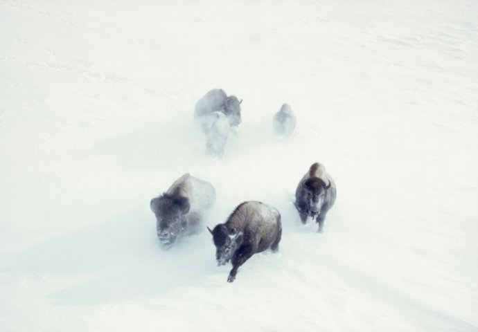 Dosad neobjavljene fotografije časopisa National Geographic