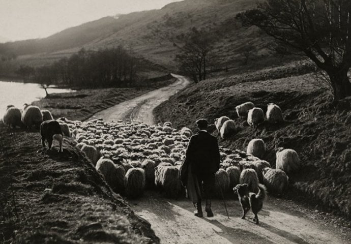 Dosad neobjavljene fotografije časopisa National Geographic