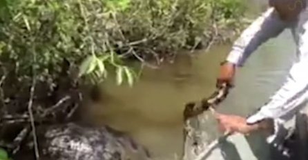 Ribari su probudili ogromnu anakondu, a onda je ona podivljala! (VIDEO)
