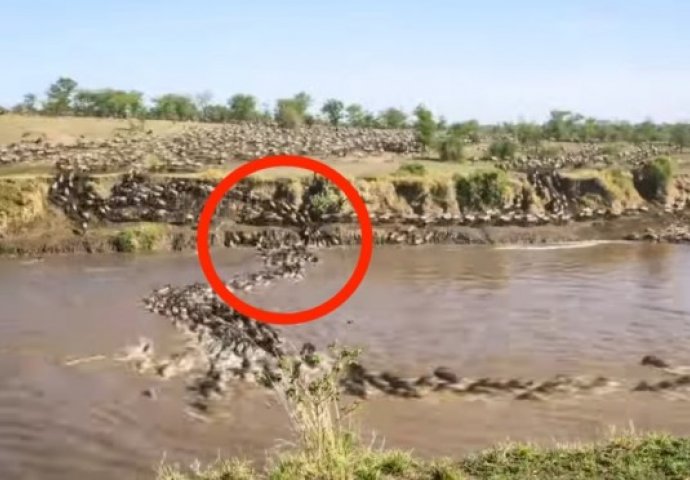 Postavio je kameru pored rijeke: Ono što je snimio nikada neće zaboraviti (VIDEO) 